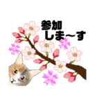 三毛猫さん 春ver.（個別スタンプ：13）