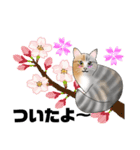 三毛猫さん 春ver.（個別スタンプ：15）