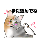 三毛猫さん 春ver.（個別スタンプ：18）