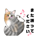 三毛猫さん 春ver.（個別スタンプ：19）