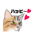 三毛猫さん 春ver.（個別スタンプ：20）