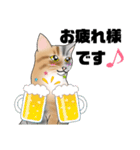 三毛猫さん 春ver.（個別スタンプ：21）