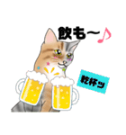 三毛猫さん 春ver.（個別スタンプ：22）