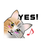 三毛猫さん 春ver.（個別スタンプ：23）