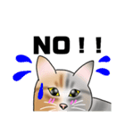 三毛猫さん 春ver.（個別スタンプ：24）
