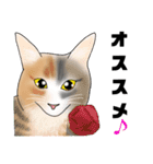 三毛猫さん 春ver.（個別スタンプ：25）