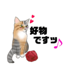 三毛猫さん 春ver.（個別スタンプ：26）