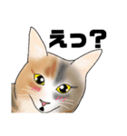三毛猫さん 春ver.（個別スタンプ：27）