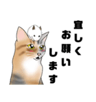 三毛猫さん 春ver.（個別スタンプ：29）