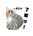 三毛猫さん 春ver.（個別スタンプ：31）