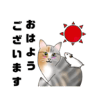 三毛猫さん 春ver.（個別スタンプ：34）