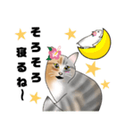 三毛猫さん 春ver.（個別スタンプ：35）
