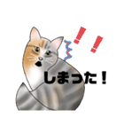 三毛猫さん 春ver.（個別スタンプ：37）