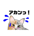 三毛猫さん 春ver.（個別スタンプ：38）