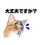 三毛猫さん 春ver.（個別スタンプ：40）