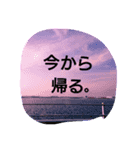 色々land（個別スタンプ：4）