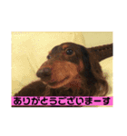 皆んな ありがとう（個別スタンプ：1）