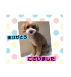皆んな ありがとう（個別スタンプ：2）