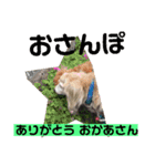 皆んな ありがとう（個別スタンプ：5）