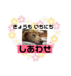 皆んな ありがとう（個別スタンプ：6）