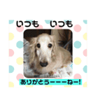 皆んな ありがとう（個別スタンプ：7）