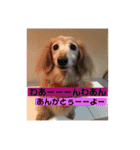 皆んな ありがとう（個別スタンプ：8）