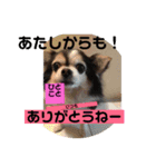 皆んな ありがとう（個別スタンプ：10）