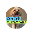 皆んな ありがとう（個別スタンプ：11）