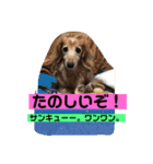 皆んな ありがとう（個別スタンプ：12）