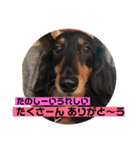 皆んな ありがとう（個別スタンプ：14）