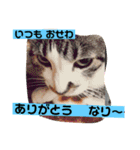 皆んな ありがとう（個別スタンプ：15）