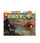 ホタテとグッチ（個別スタンプ：8）