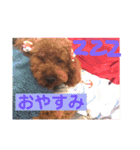 ホタテとグッチ（個別スタンプ：16）
