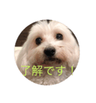 まるっくすすたんぷ（個別スタンプ：7）