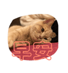 可愛すぎる代々木（個別スタンプ：3）