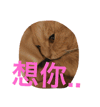 可愛すぎる代々木（個別スタンプ：10）