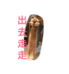 可愛すぎる代々木（個別スタンプ：18）
