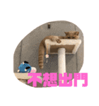可愛すぎる代々木（個別スタンプ：19）