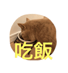 可愛すぎる代々木（個別スタンプ：22）
