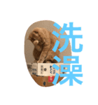 可愛すぎる代々木（個別スタンプ：23）