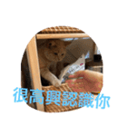 可愛すぎる代々木（個別スタンプ：24）