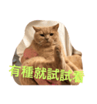 可愛すぎる代々木（個別スタンプ：25）