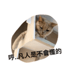 可愛すぎる代々木（個別スタンプ：27）