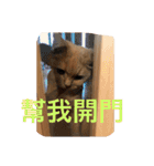 可愛すぎる代々木（個別スタンプ：28）