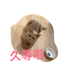 可愛すぎる代々木（個別スタンプ：29）