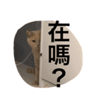 可愛すぎる代々木（個別スタンプ：31）