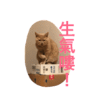 可愛すぎる代々木（個別スタンプ：32）
