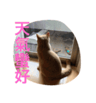 可愛すぎる代々木（個別スタンプ：35）