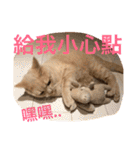 可愛すぎる代々木（個別スタンプ：36）