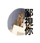 可愛すぎる代々木（個別スタンプ：37）
